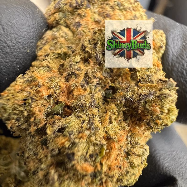 🇺🇸 Z Nerdz SUPERDOPE