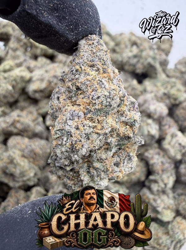 El Chapo OG