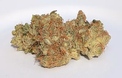 Review image 4