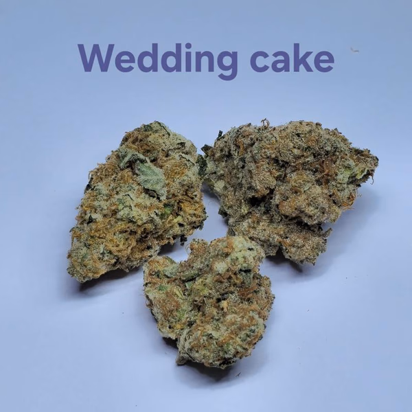 Make an oz for £160! ( Free T24 )