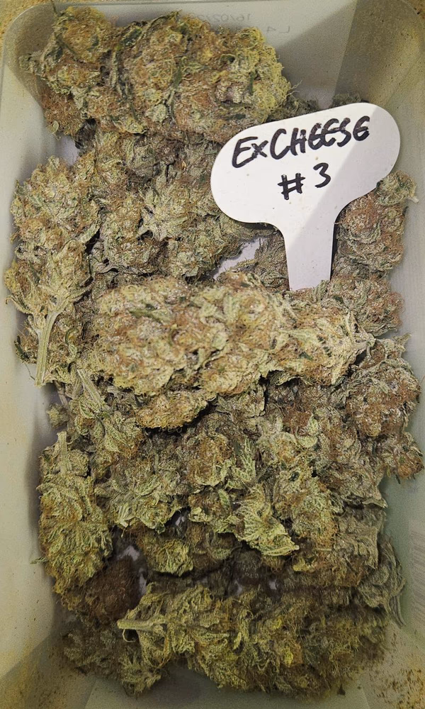 Exodus Cheese