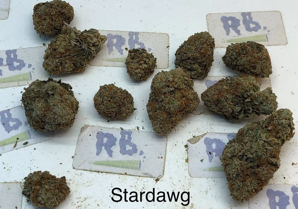 STAR DAWG GRADE A+