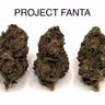 PROJECT FANTA