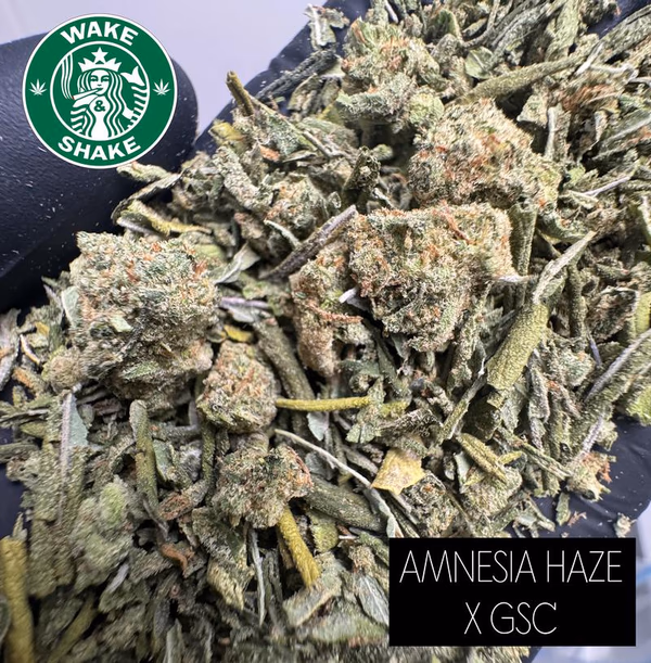 Amnesia Haze X GSC Shake image