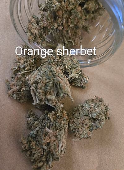 Review image 2