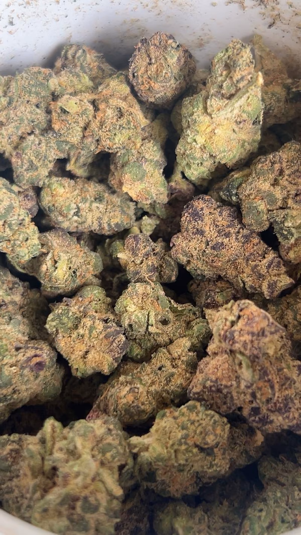 Blue Guava | Exotic by ZATIX