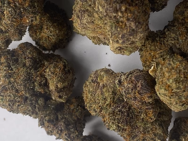 BISCOTTI X RUNTZ***
