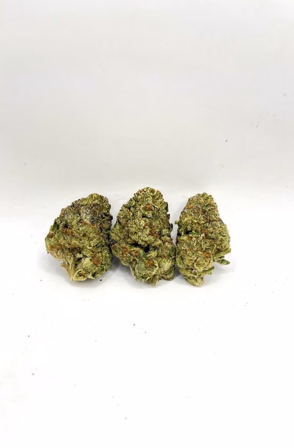 MOCHI - EXOTICS