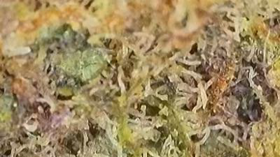 Review image 4