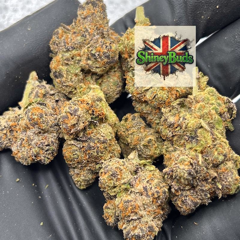 🇺🇸 Lulu Lemon CONNECTED CANNABIS 2