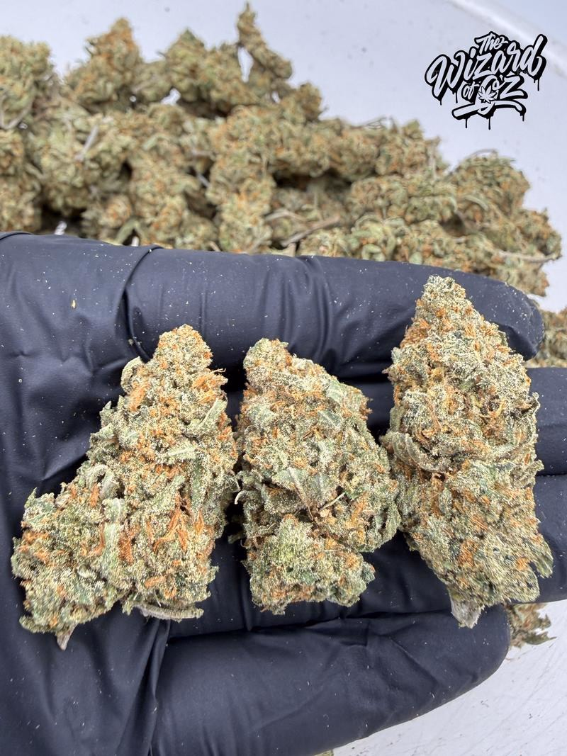 Amnesia Haze 😵‍💫🌌