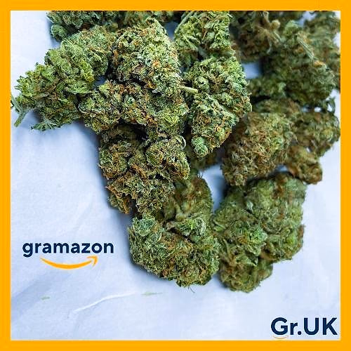 *LEMON TREE* 20% EXTRA - FREE SHIPPING