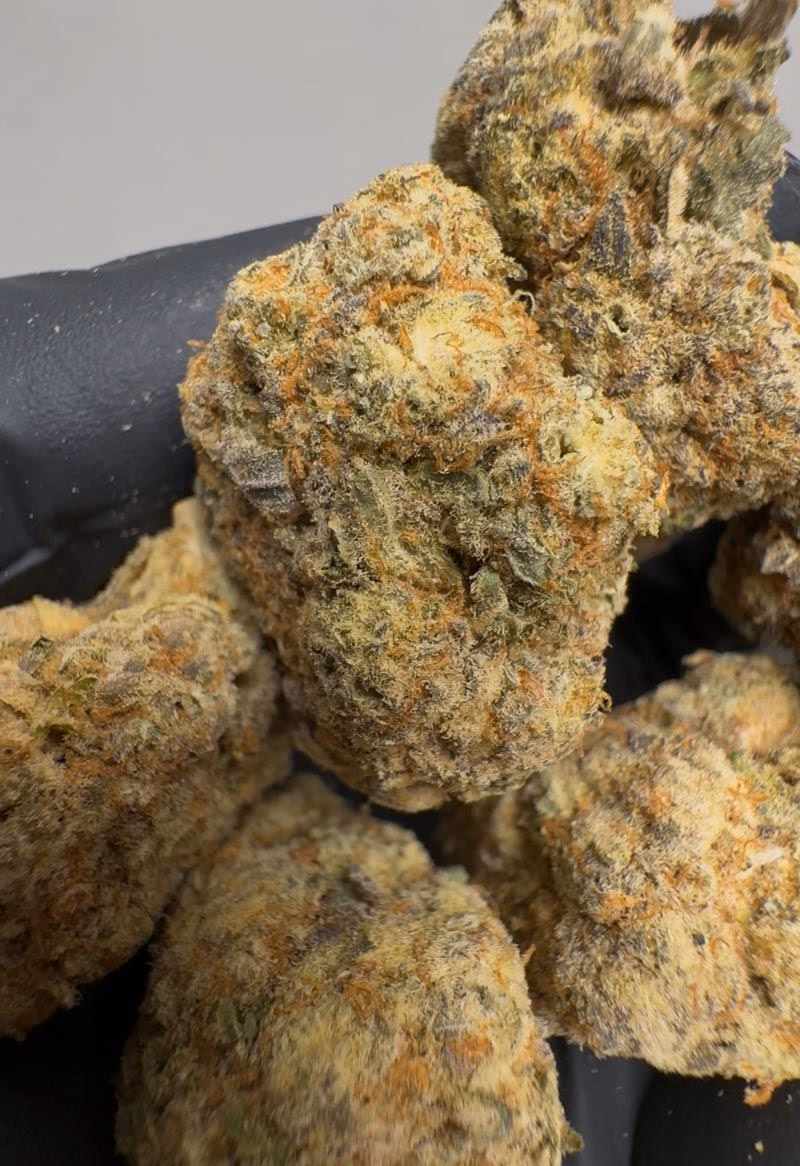 BARGAIN BUDS