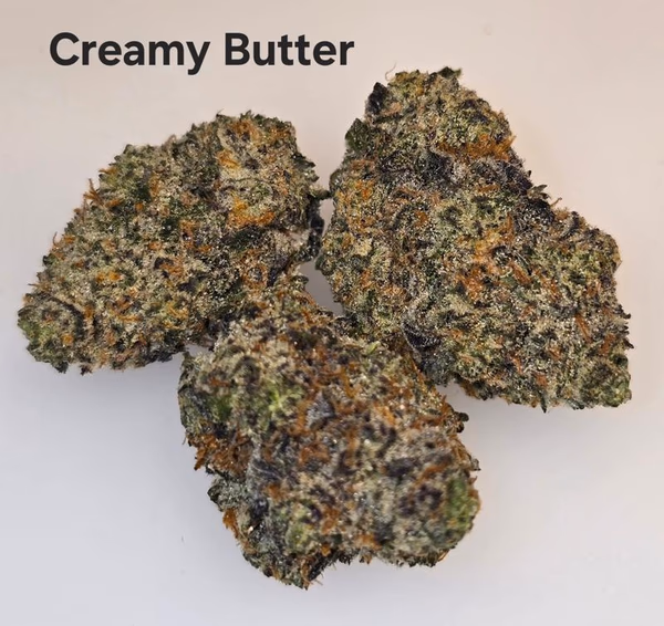 Make an oz for £160! ( Free T24 )