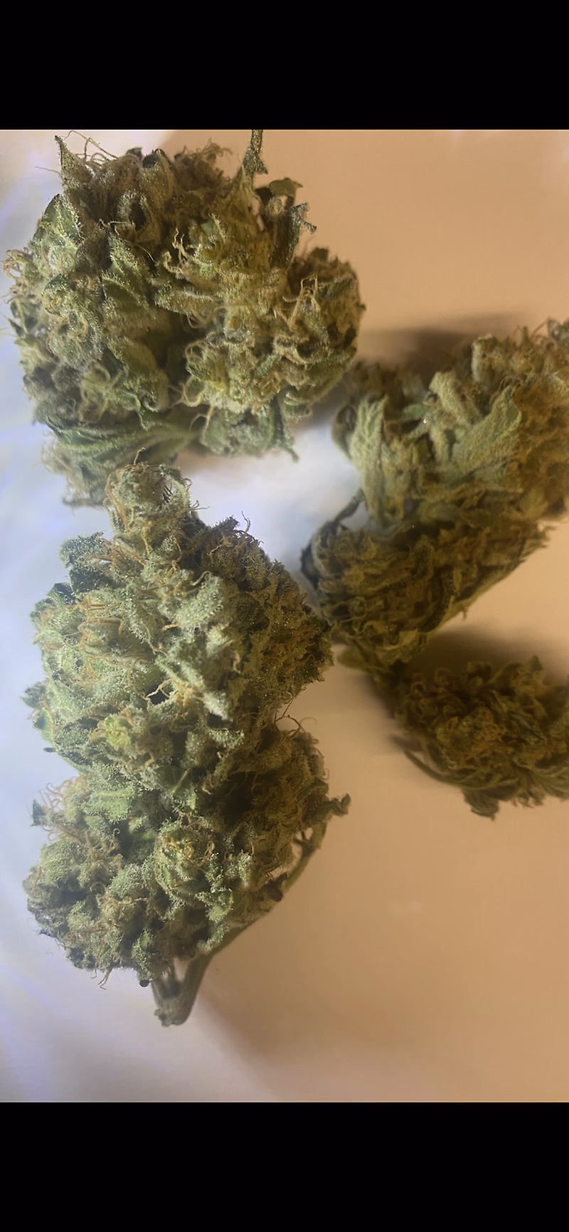 Grade A, Top Shelf, Super Lemon Haze 3