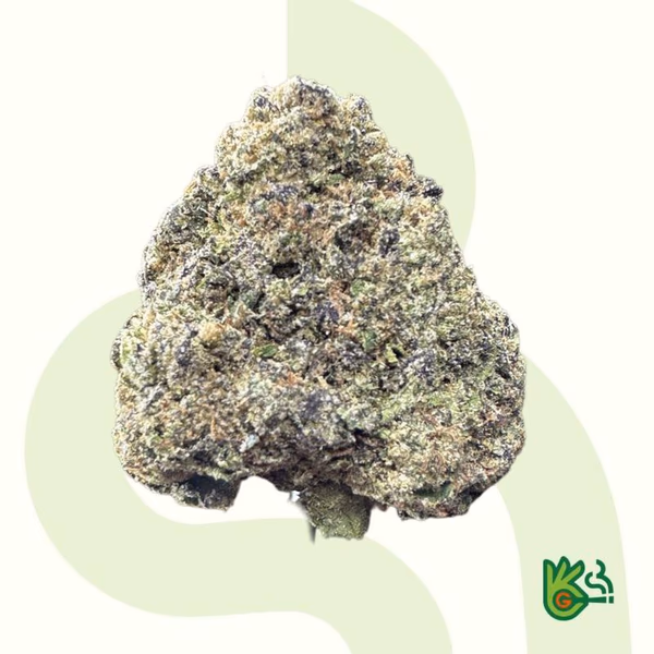 Slurricane *Free Shipping*