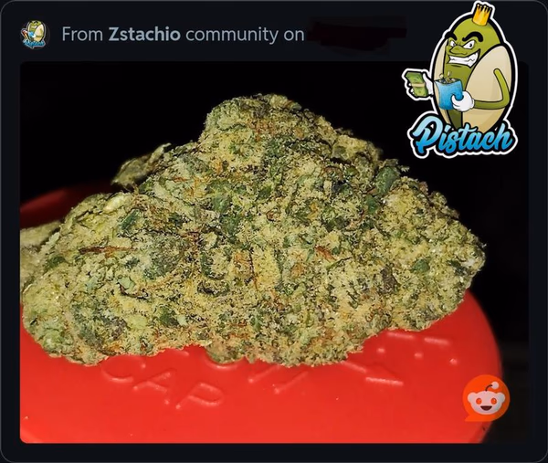 MEGAN FOX - SILVER FOX X RUNTZ FRANQUEO GRATUITO