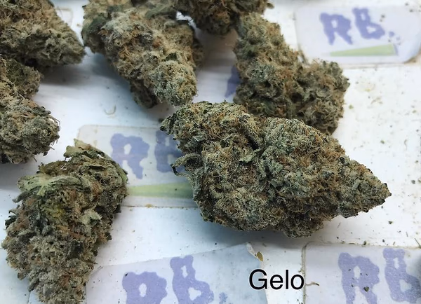 GELLO GELATO A+