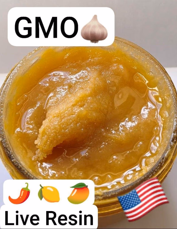 GMO - USA live Resin