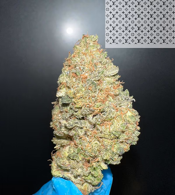 OZK - OG KUSH X ZKITTLEZ