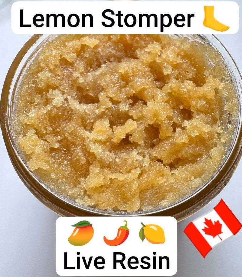 Canada BHO