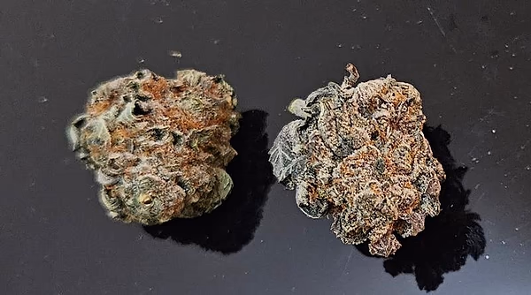 Purple Space Cookies