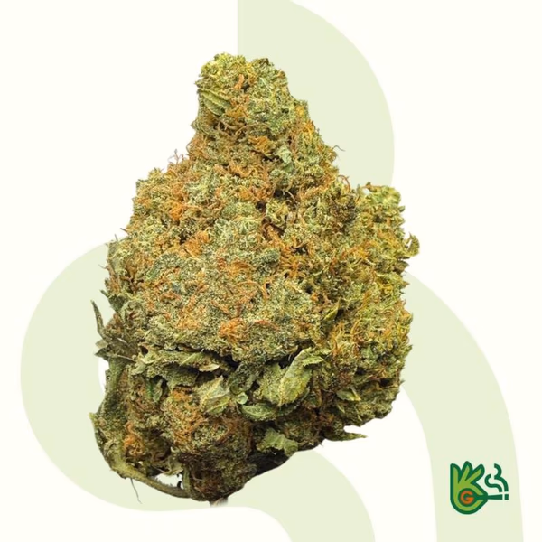 Mac1 *Free Shipping*