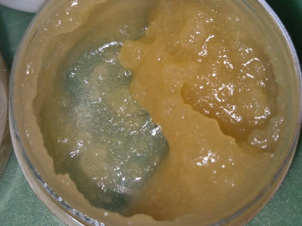 MEGA Z HASH ROSIN