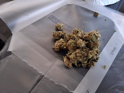 👑 ROYAL SHERBET (Premium UK Homegrown) FREE TRACKED 24