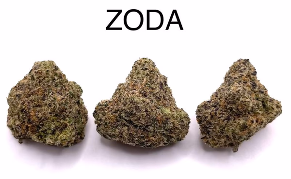 ZODA (TOP SHELF)