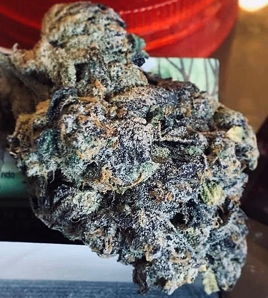 PURPLE PUNCH