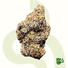Purple Headbadn *Free Shipping*