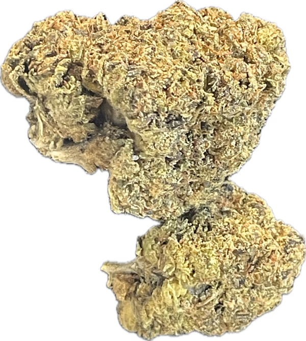 Black Cherry Gelato