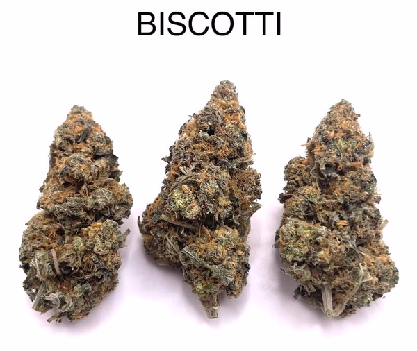BISCOTTI