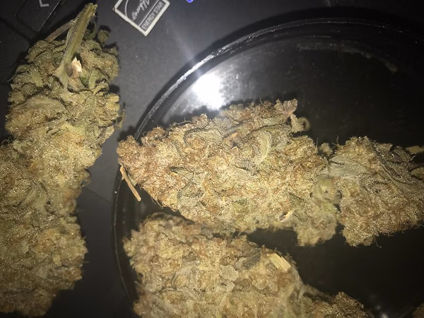 Forbidden fruit