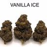 VANILLA ICE