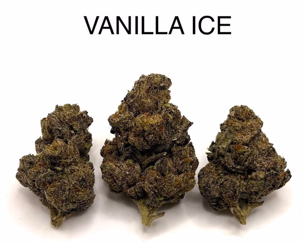 VANILLA ICE