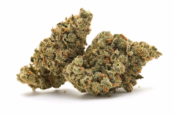 Premium Λουλούδι στο επάνω ράφι — Flower