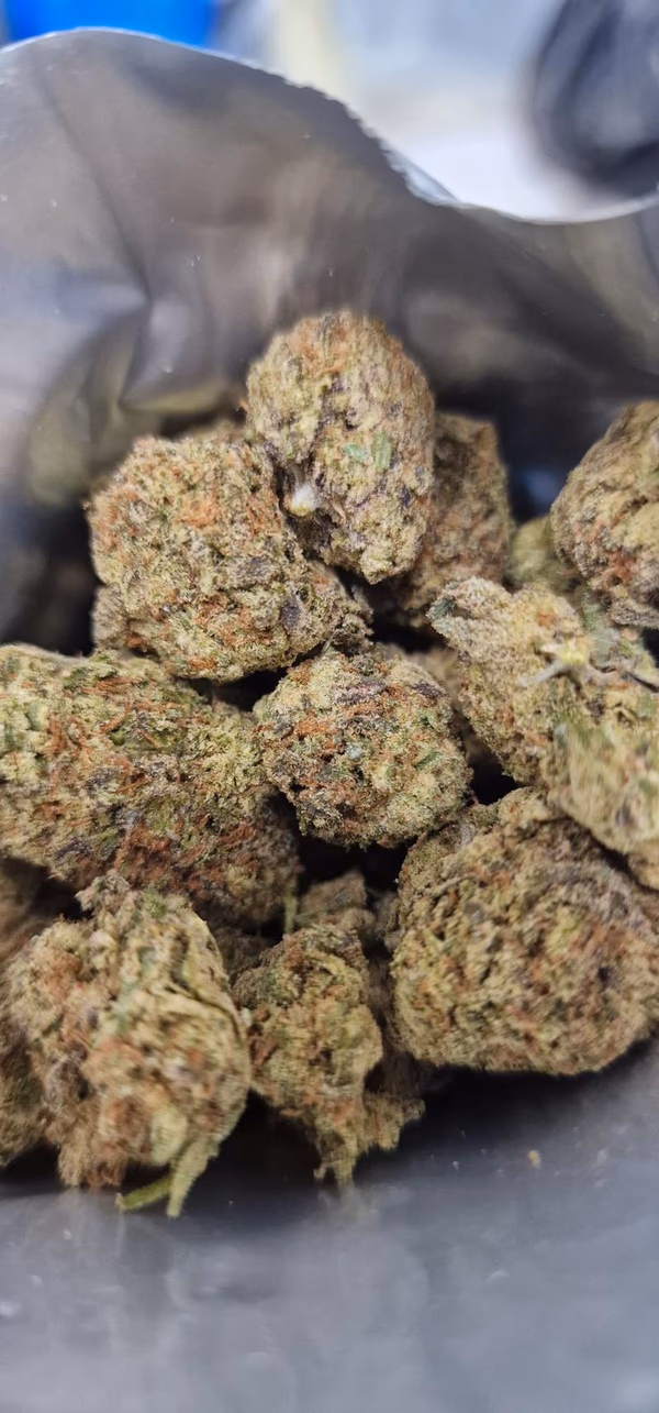 Static Shock ⚡️- White Widow x Skunk #1