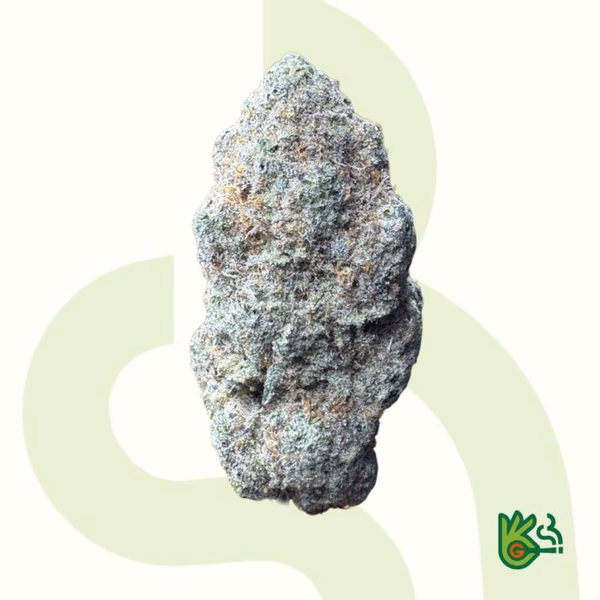 Garlicane *Free Shipping*