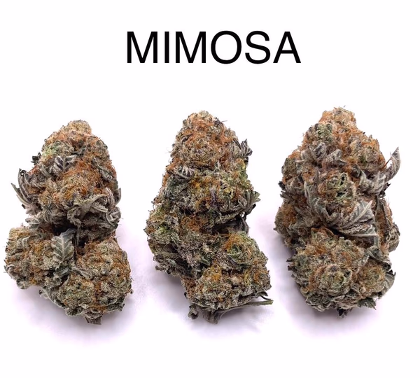 MIMOSA image