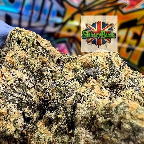 🇺🇸 Blue Banger 3.5g Pack WIZARD TREES