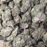 RAMBO EXOTICS - 10/10 BUD 🔥🔥🔥