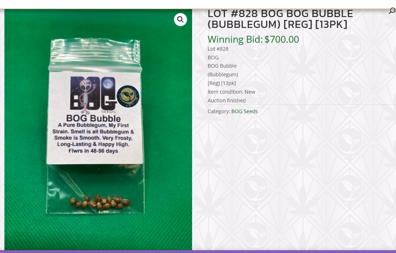 BOG Seeds / Bushy Old Grower 3