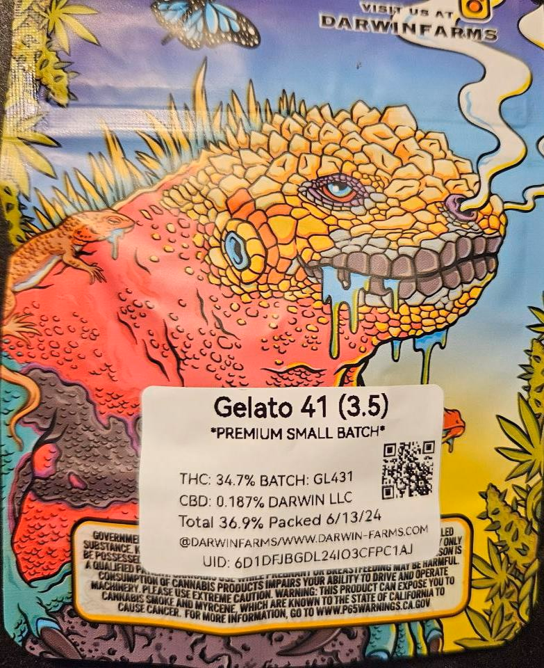 Darwin Farms - Gelato 41