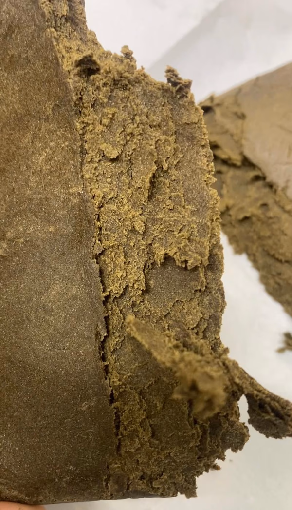 Gelato #41 Ice Water Hash - Tasty &amp; Potent - Full Spec