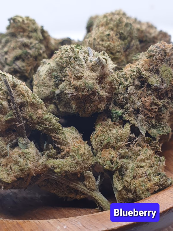 [Exclusive] Top Shelf Cali — Flower